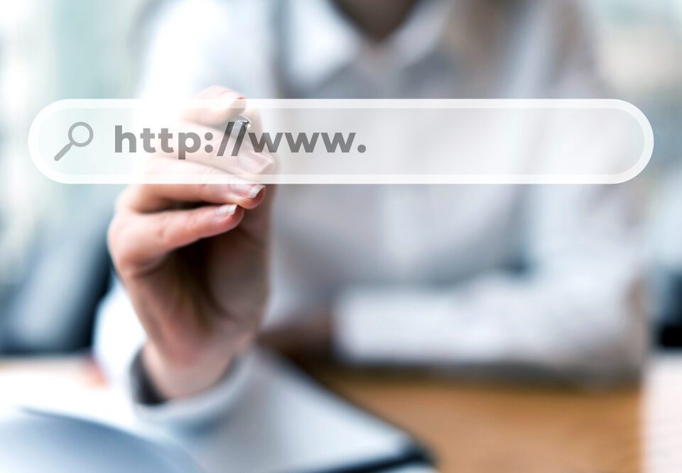 Nome de Domínio Gratuito na Internet para Empreendedores 24